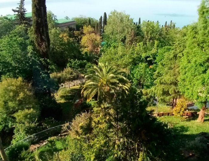 Внешний вид и территория - Гостиничный комплекс «Лазурная Отель и СПА»