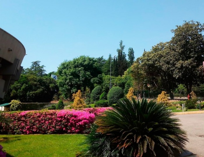 Внешний вид и территория - Гостиничный комплекс «Лазурная Отель и СПА»